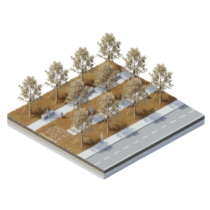 pallax-smart-irrigation-dry-transparent-2